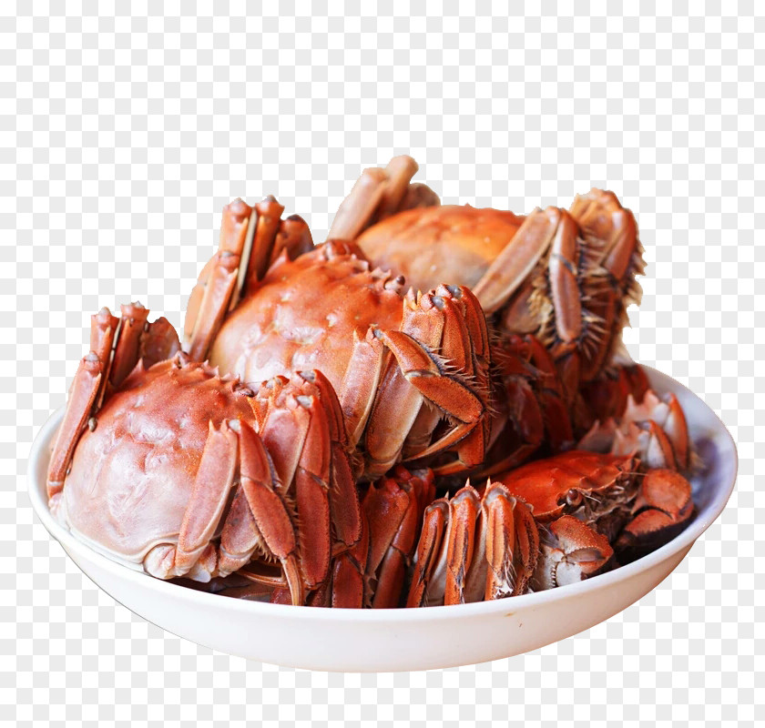 Crab Meat Yangcheng Lake Seafood PNG meat Seafood, A crab clipart PNG