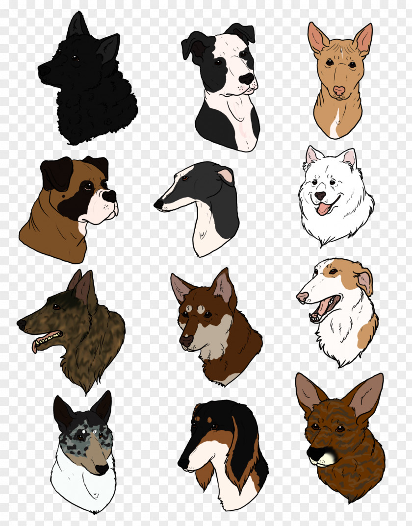 Dog Breed Cat Headgear PNG