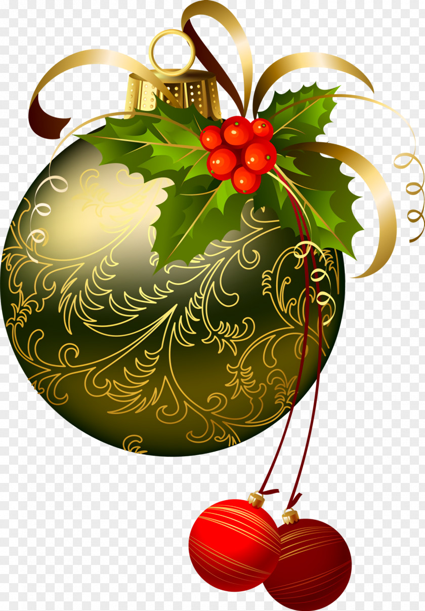 Fruit Christmas Decoration Holly Ilex PNG