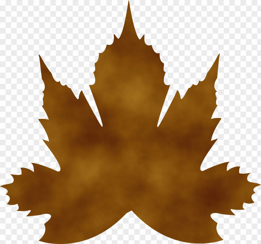 Maple Leaf PNG