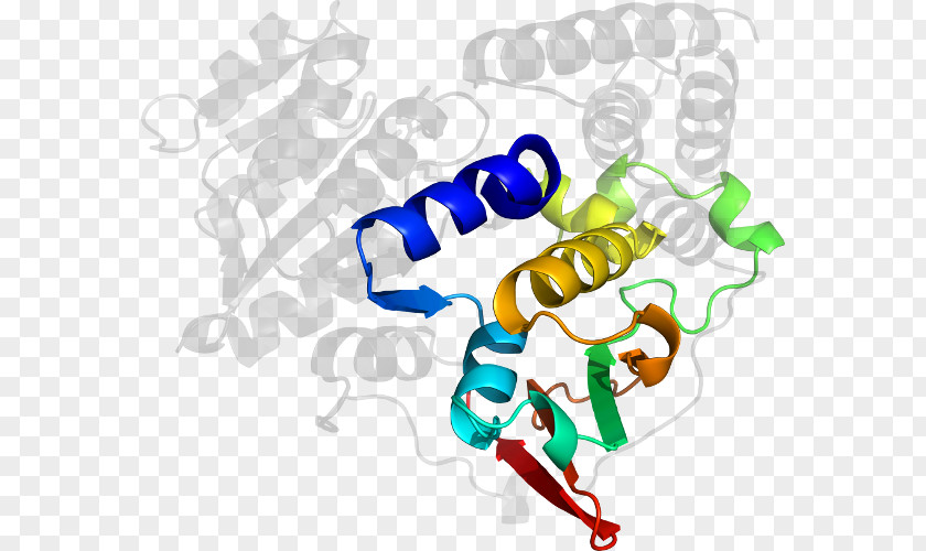 1deoxydxylulose 5phosphate Line Clip Art PNG