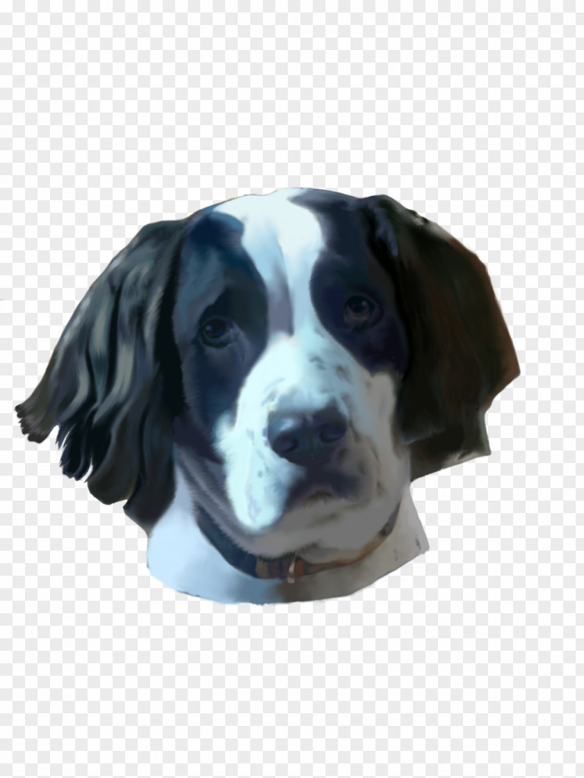 Dog Breed Sporting Group Spaniel Snout PNG