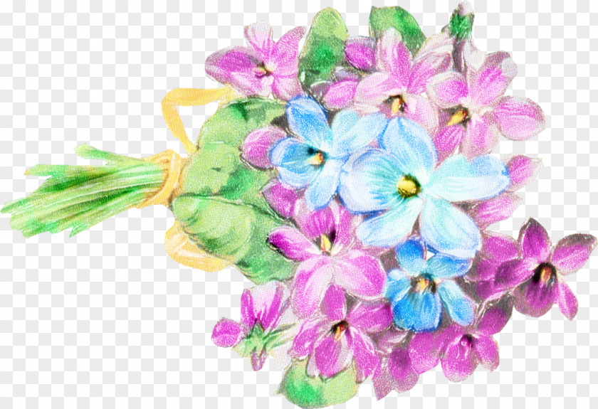 Flower Floral Design Cut Flowers Bouquet Petal PNG