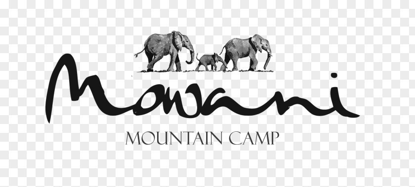 Horizon Mountains Indian Elephant African Mowani Mountain Camp Namibia Tourism Board PNG