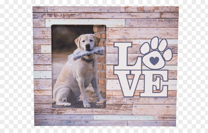 Mirror Labrador Retriever Picture Frames Mat PNG