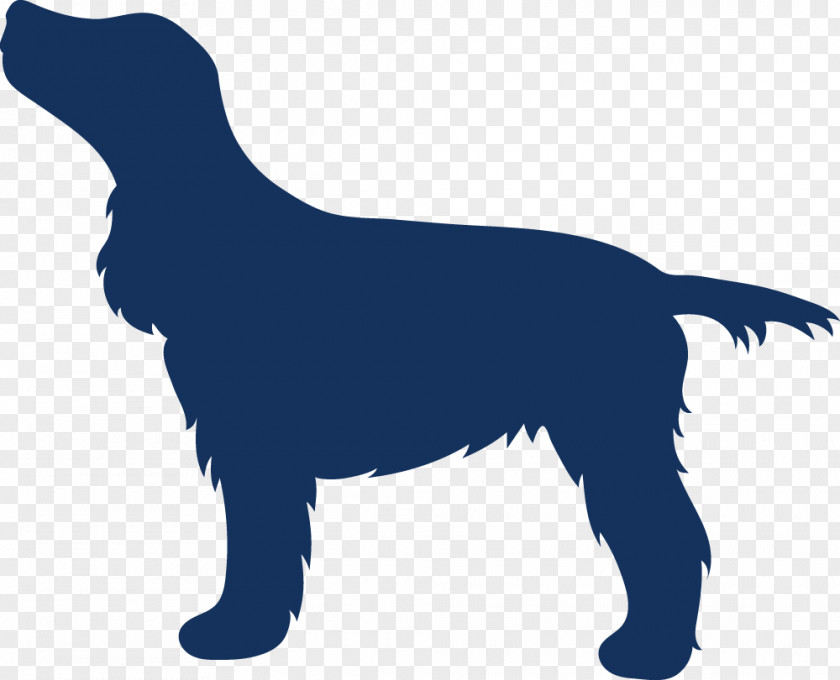 Puppy Dog Breed Sporting Group Retriever PNG