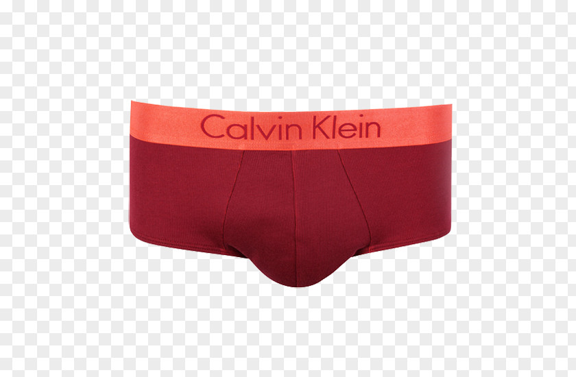 Swim Briefs Underpants Trunks Calvin Klein PNG