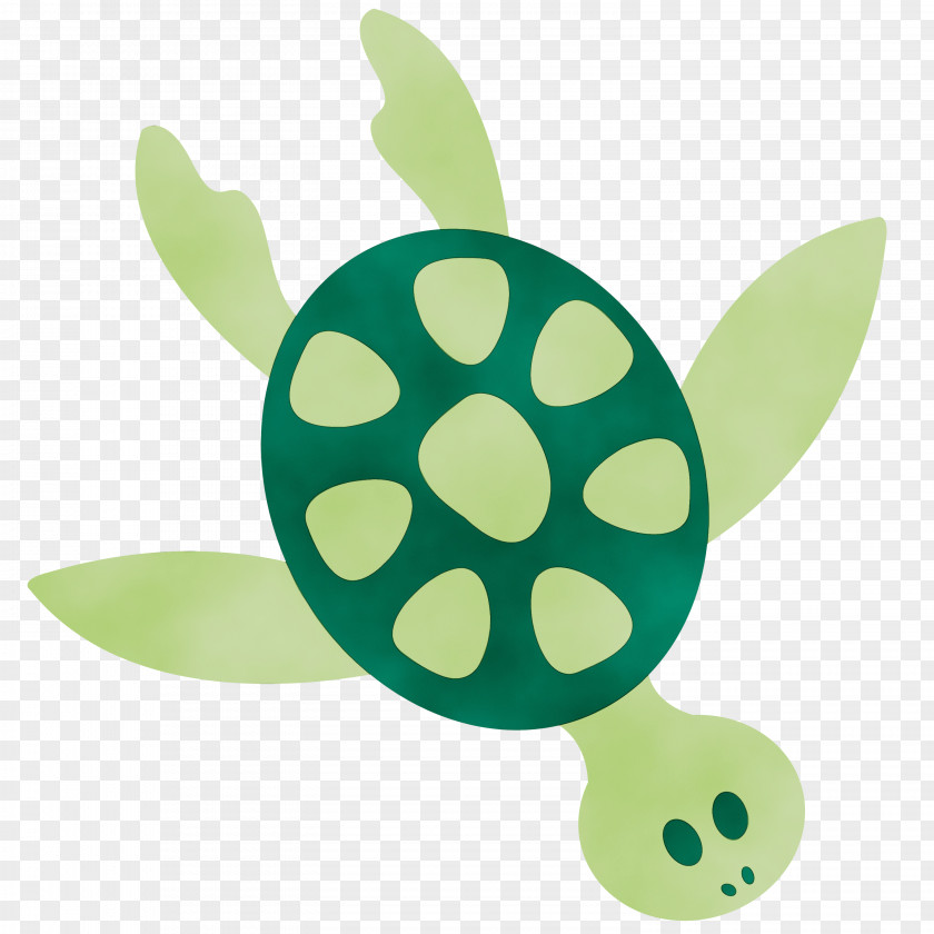 Baby Toys Turtle Sea Background PNG