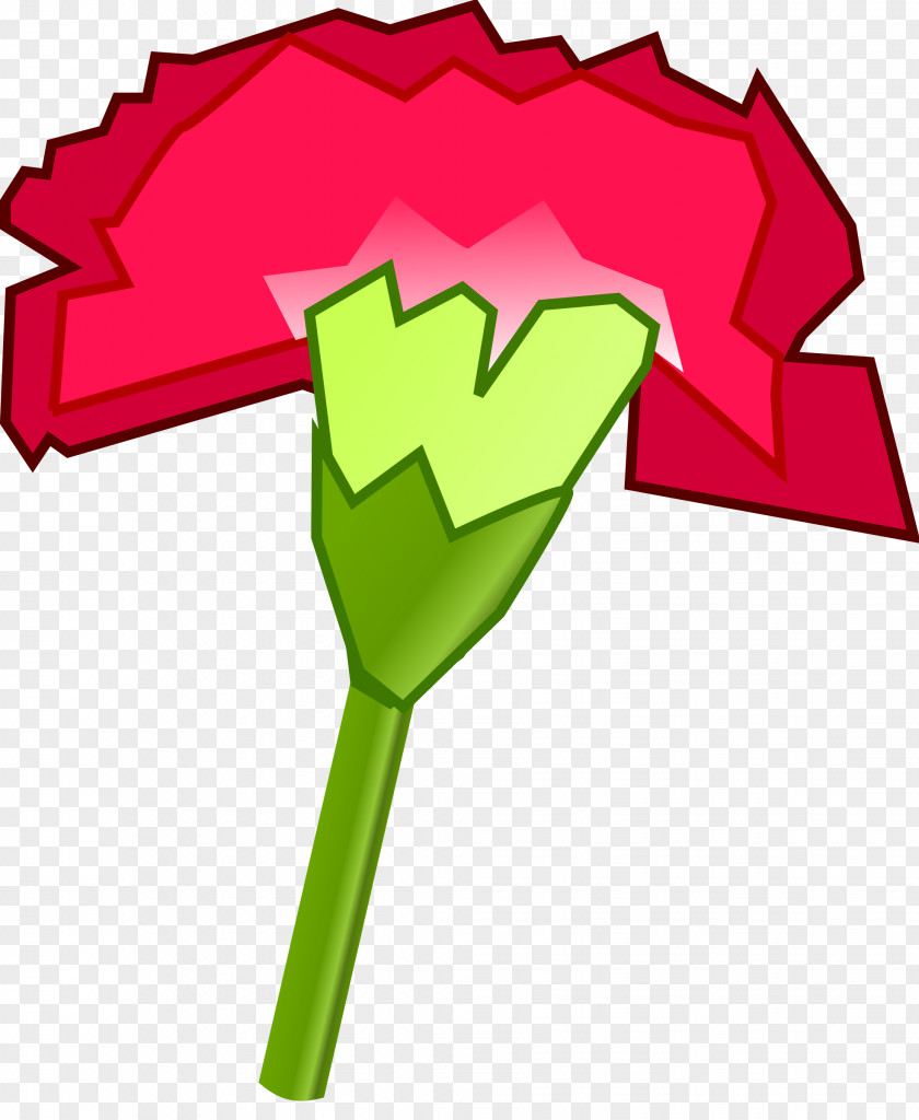 CARNATION Carnation Ohio Drawing Clip Art PNG