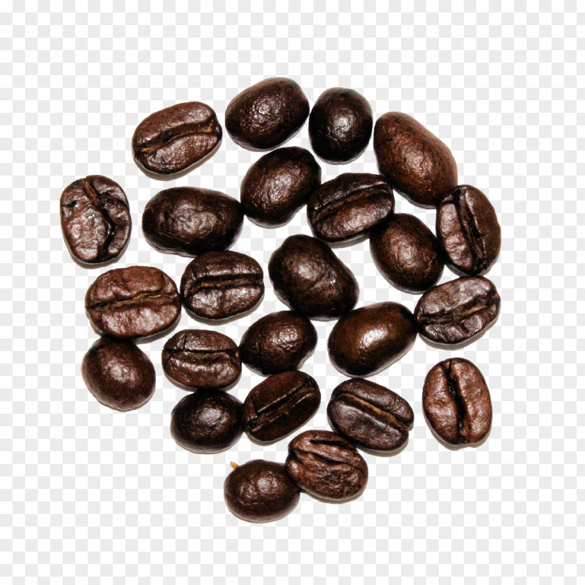 Chocolate Fudge Jamaican Blue Mountain Coffee Cocoa Bean Bead Nut Commodity PNG