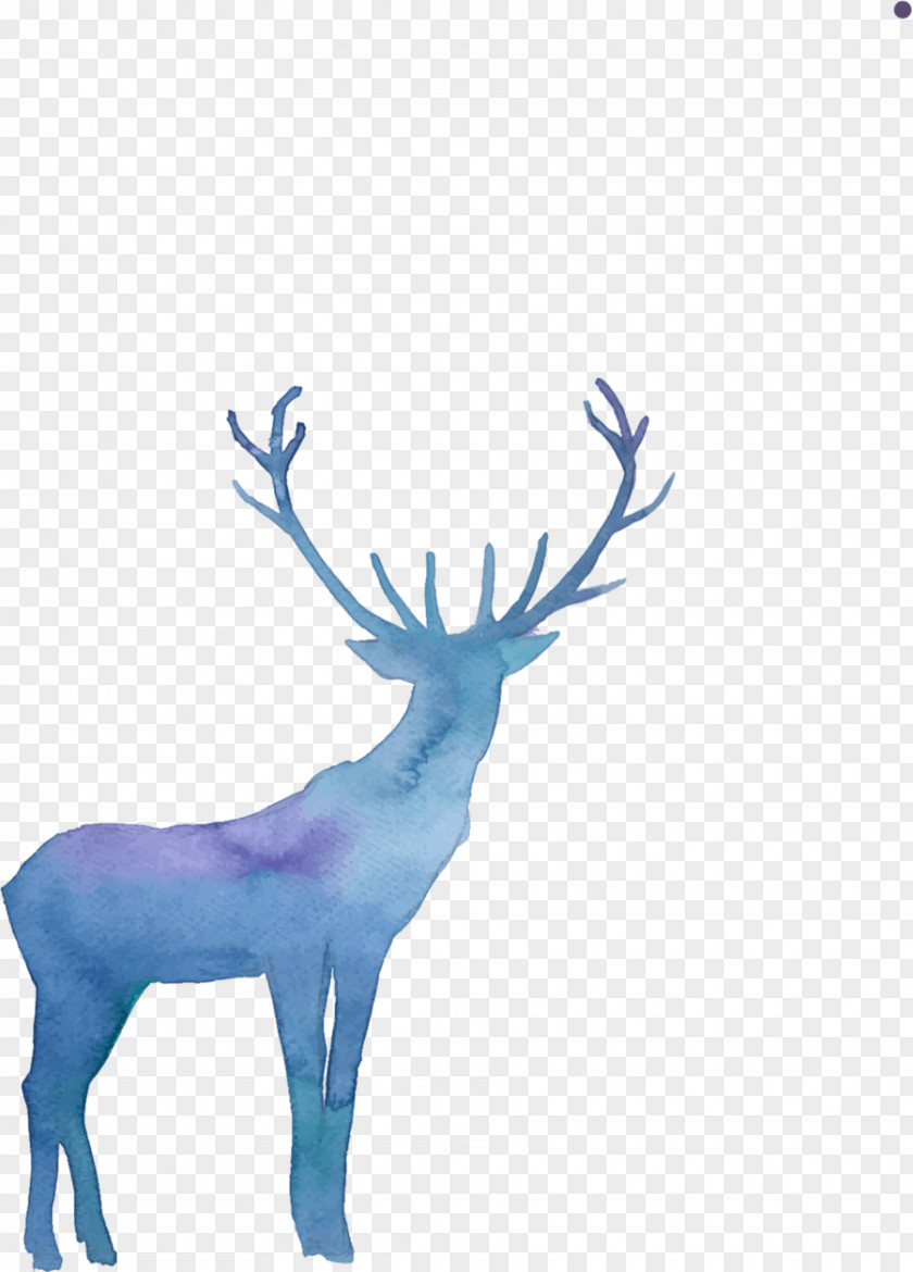 Deer Reindeer Elk Vector Graphics Clip Art PNG