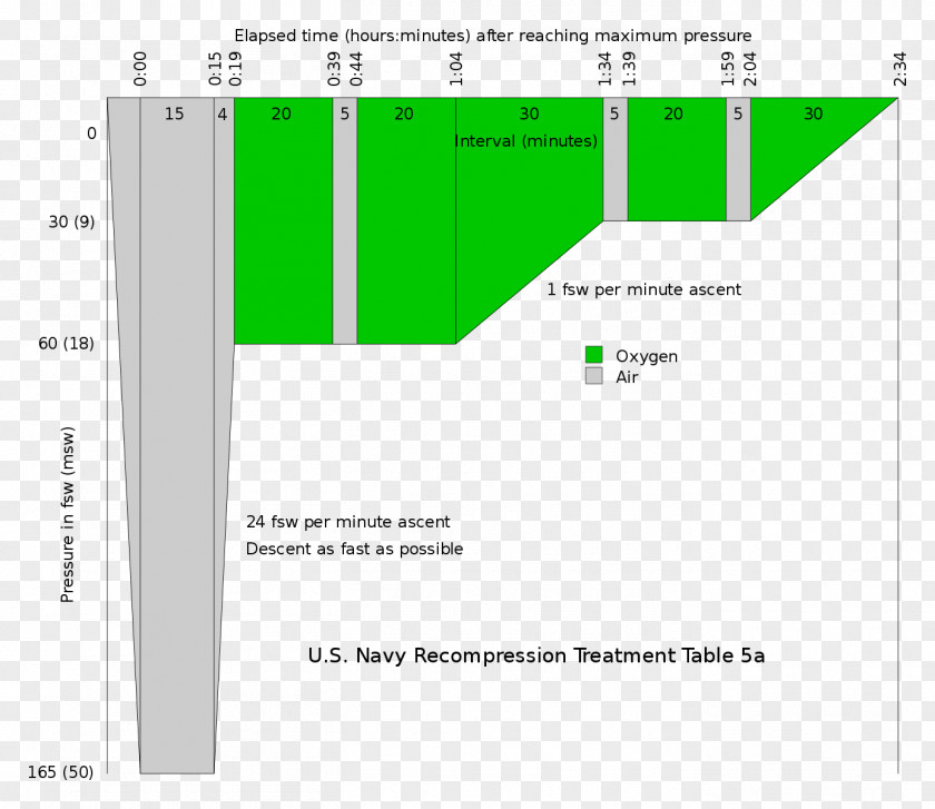 Diabetes Mellitus Therapy Screenshot PNG