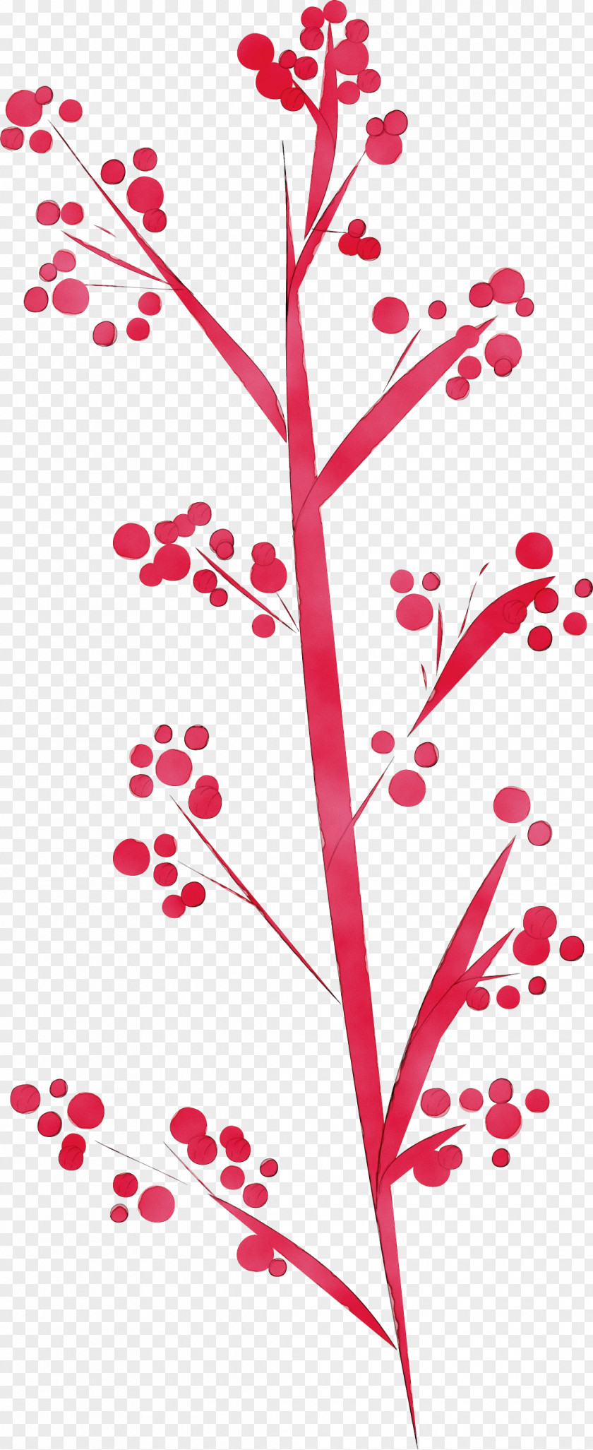 Floral Design PNG