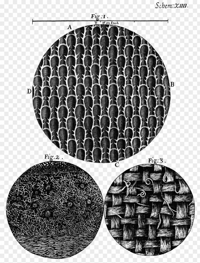 Microscope Micrographia Or Some Physiological Descriptions Of Minute Bodies Flustra Foliacea The Curious Life Robert Hooke: Man Who Measured London Philosophical Experiments And Observations PNG