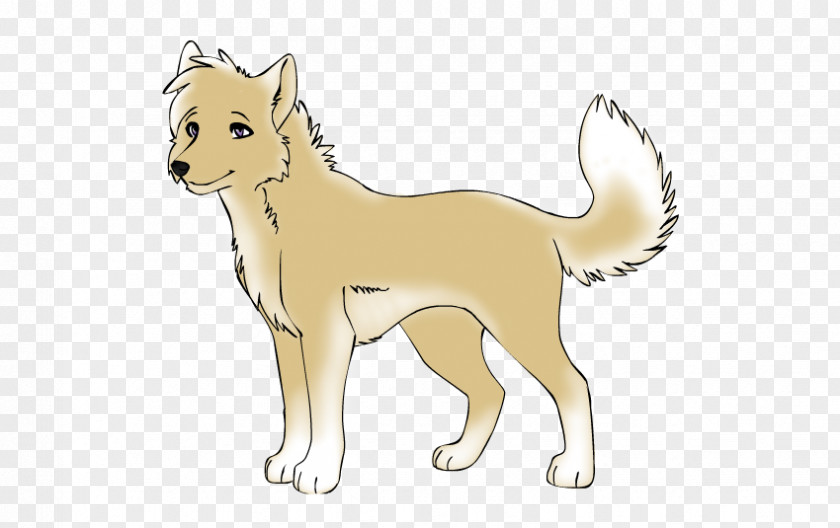 Puppy Shikoku Dog Dingo Breed Wolfdog PNG