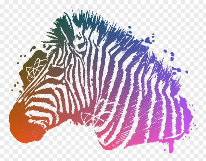 Quagga Illustration Graphics Pattern Zebra PNG