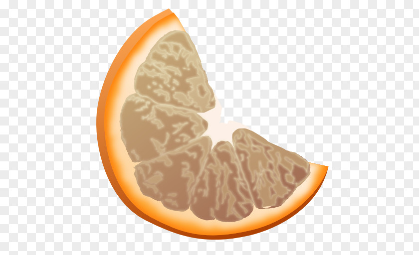 Apps Clementine Panel Grey Peach Food Grapefruit PNG