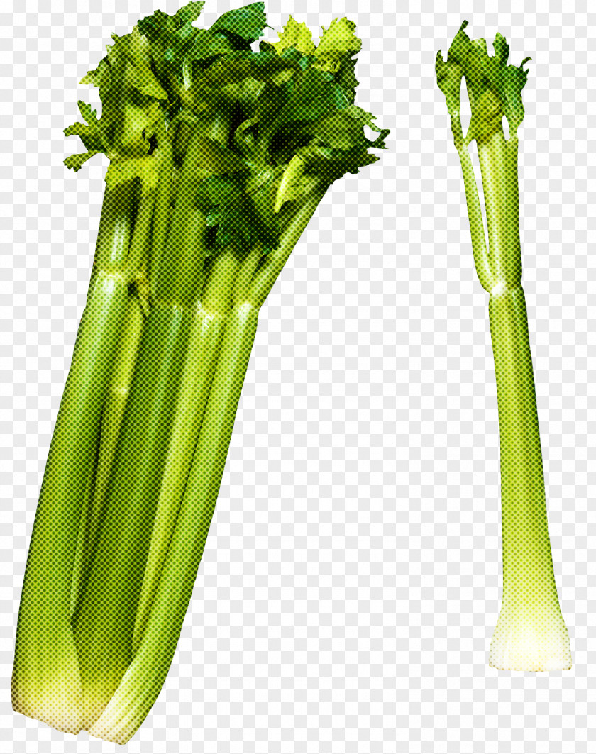 Choy Sum Culantro Vegetable Celery Food Leaf Plant PNG