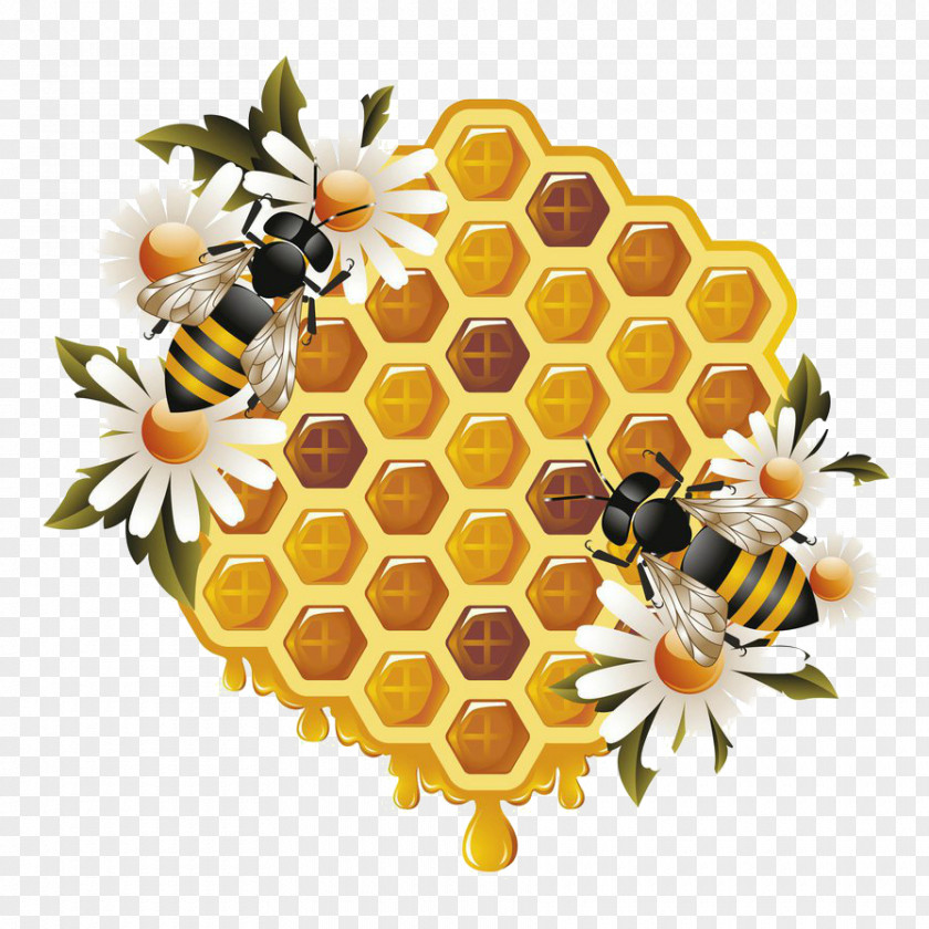 Honey Western Bee Beehive Bumblebee Clip Art PNG