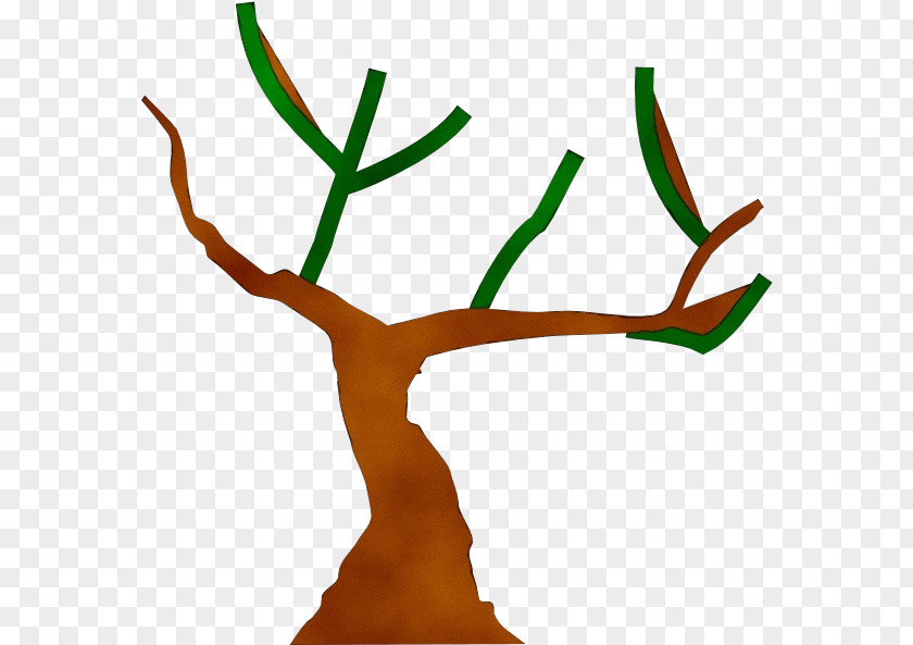 Houseplant Plant Tree Trunk Drawing PNG
