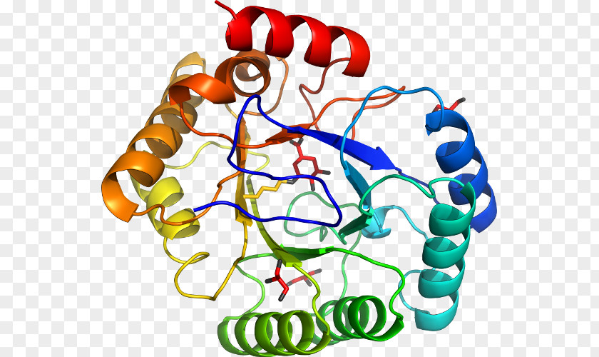 Line Organism Human Behavior NS1 Influenza Protein Clip Art PNG