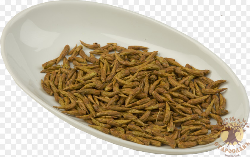 Populus Nigra Vegetarian Cuisine Dianhong Recipe Mealworm Food PNG