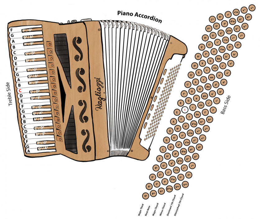 Accordion Diatonic Button Musical Instruments Free Reed Aerophone Diagram PNG