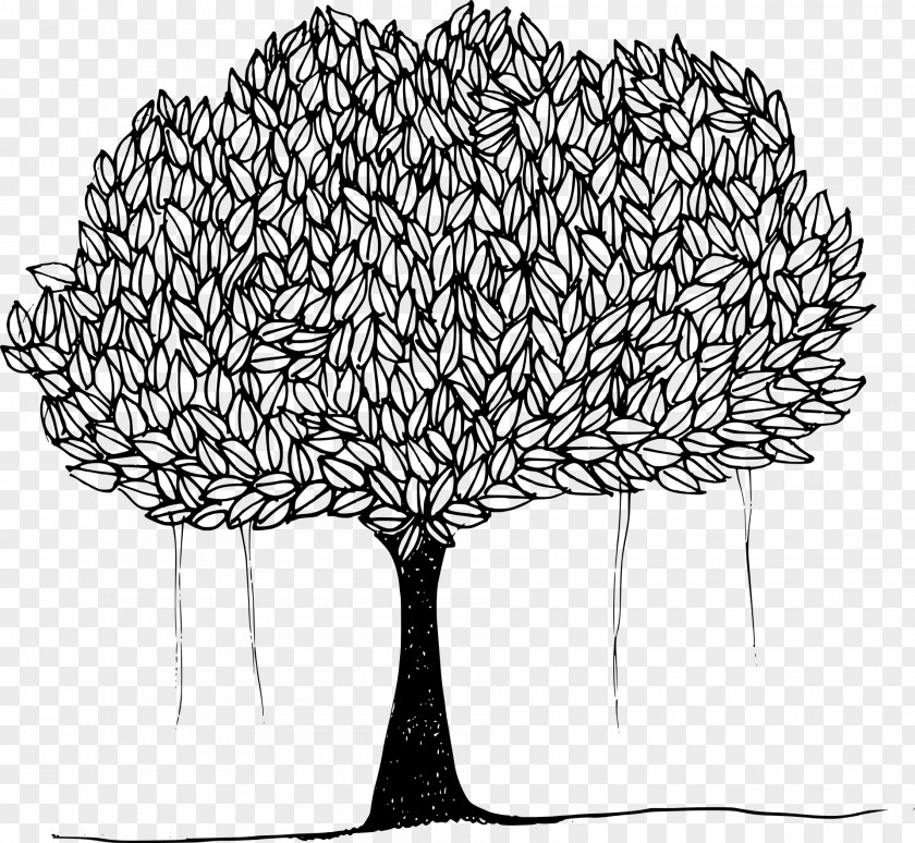 Banyan Tree Ficus Religiosa Clip Art PNG