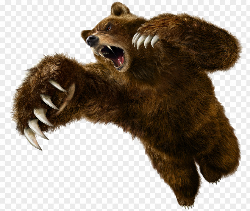 Bear Tekken 5 6: Bloodline Rebellion Angry PNG