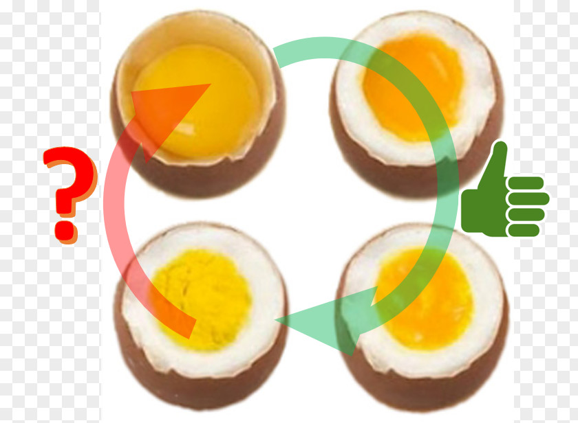 Egg Denaturation Breakfast Protein Ovalbumin PNG