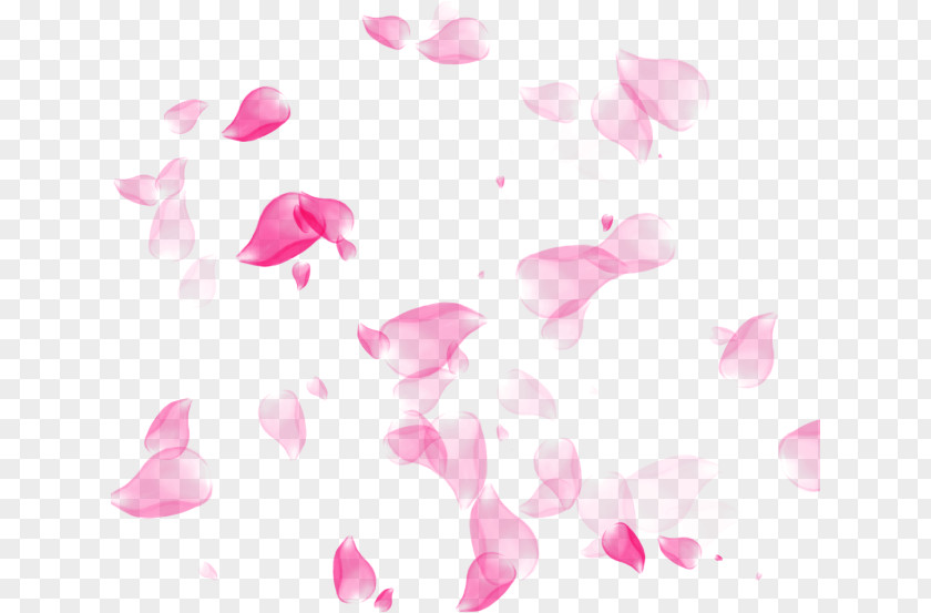 Heart Magenta Cherry Blossom Background PNG