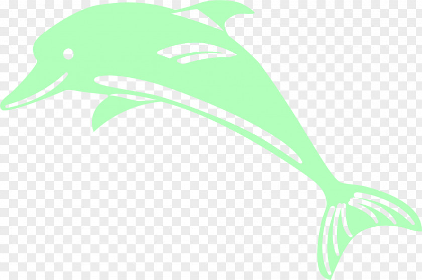 Simple Green Dolphin PNG