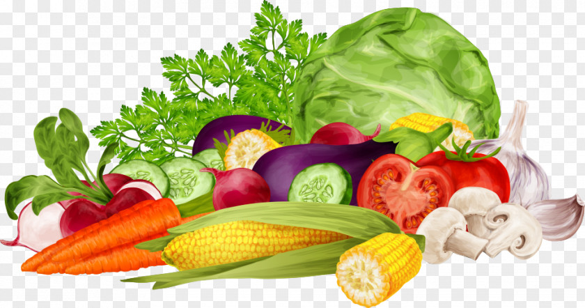 A Bunch Of Fresh Vegetables Nutrition Food Pyramid Health Royalty-free PNG