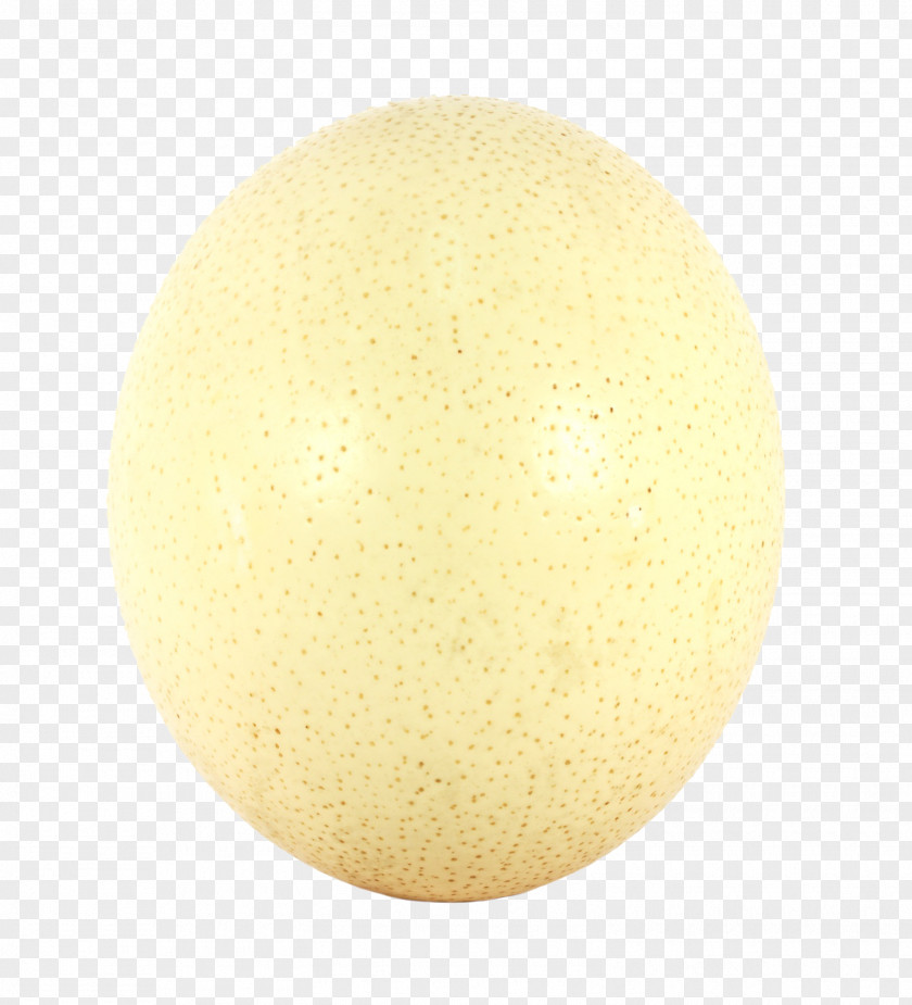 An Ostrich Egg Yellow Material Circle PNG