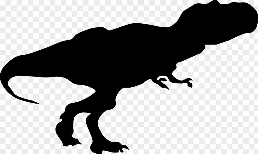 Dinosaur Tyrannosaurus Diplodocus Velociraptor Triceratops PNG