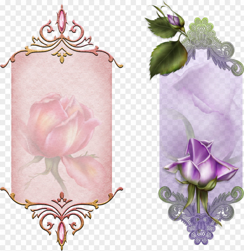 Many-storied Garden Roses Paper Scrapbooking Picture Frames PNG