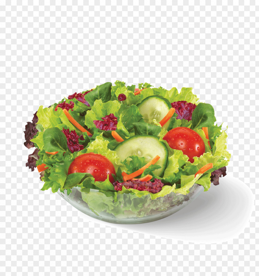 Salad Romaine Lettuce Caprese Caesar French Fries PNG