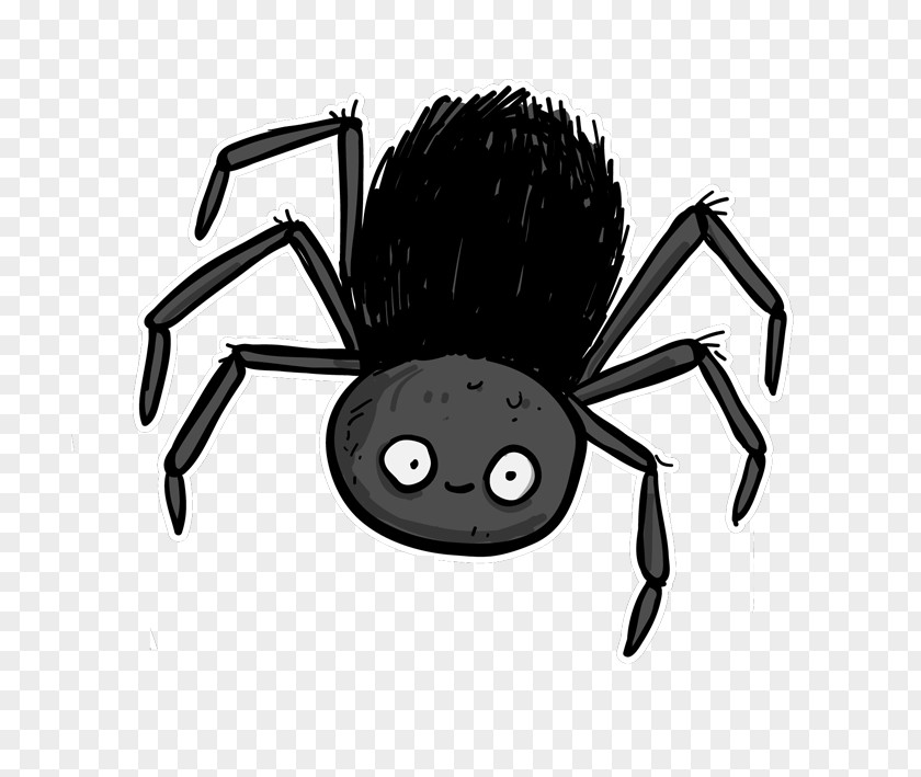 Spider Southern Black Widow PNG