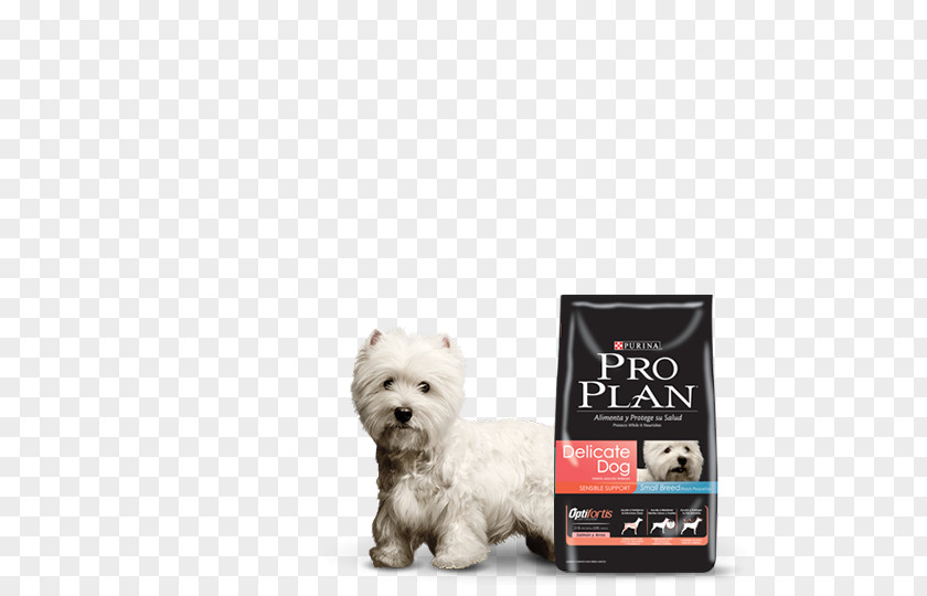 Cat Dogo Argentino Dog Breed Food PNG