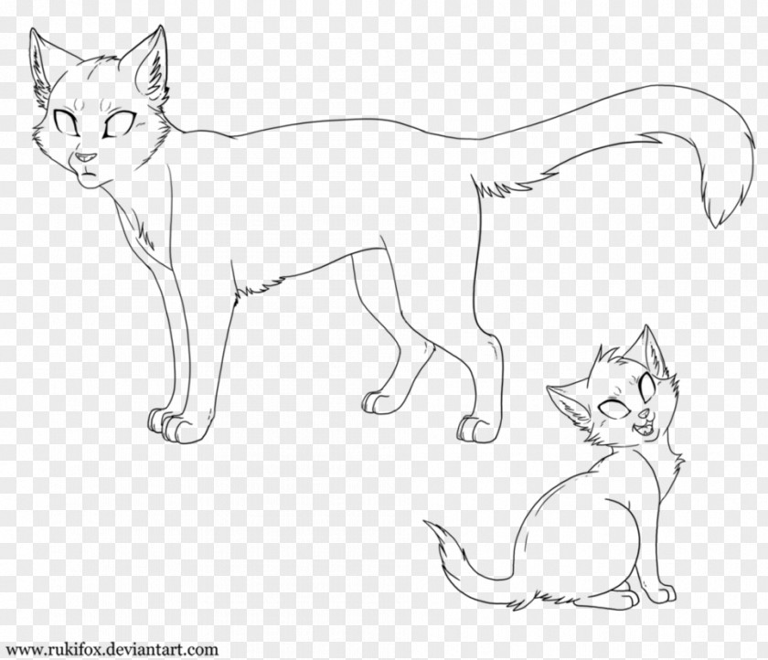 Color Kitten Cat Warriors Coloring Book The Rise Of Scourge Erin Hunter PNG