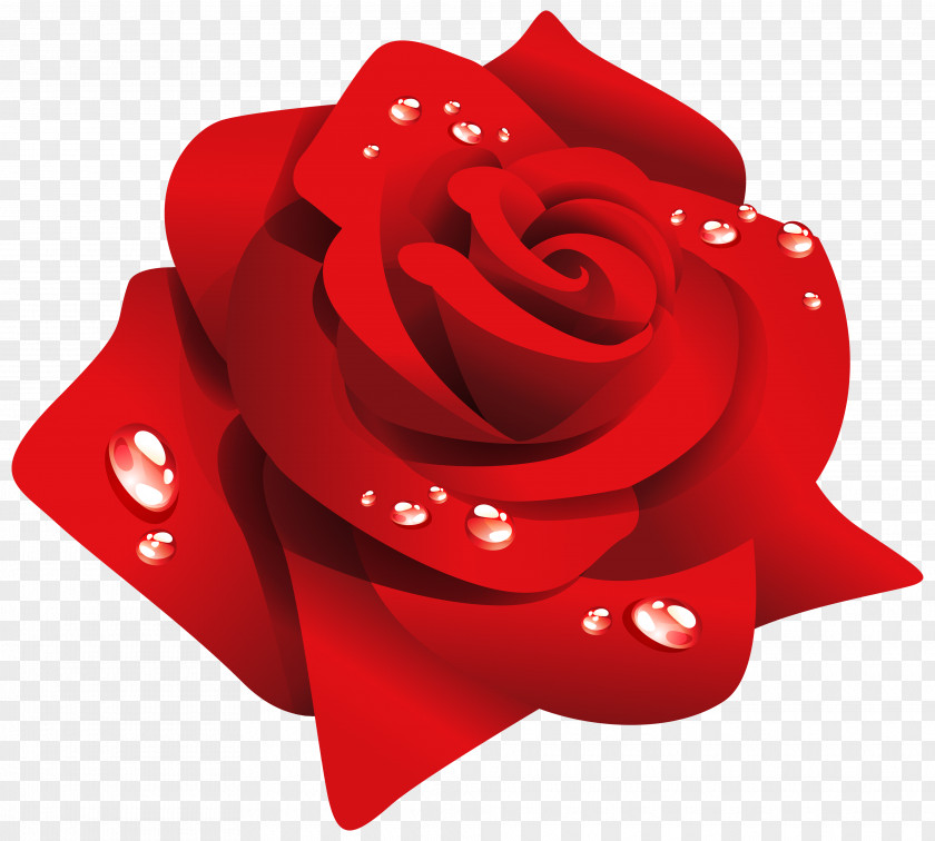 Dew Rose Desktop Wallpaper Flower Clip Art PNG