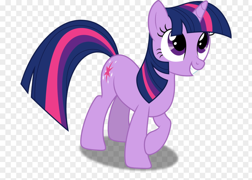 My Little Pony Twilight Sparkle Pinkie Pie Fluttershy PNG