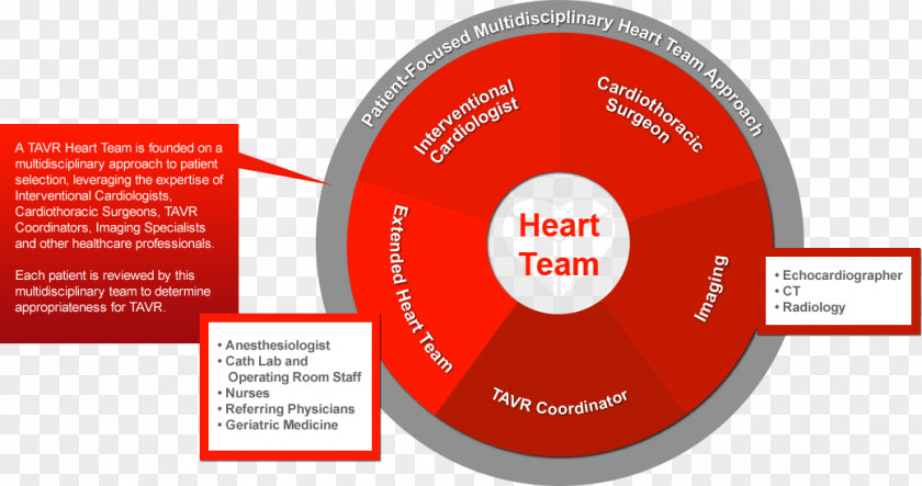 Nurse Heart Brand Logo PNG