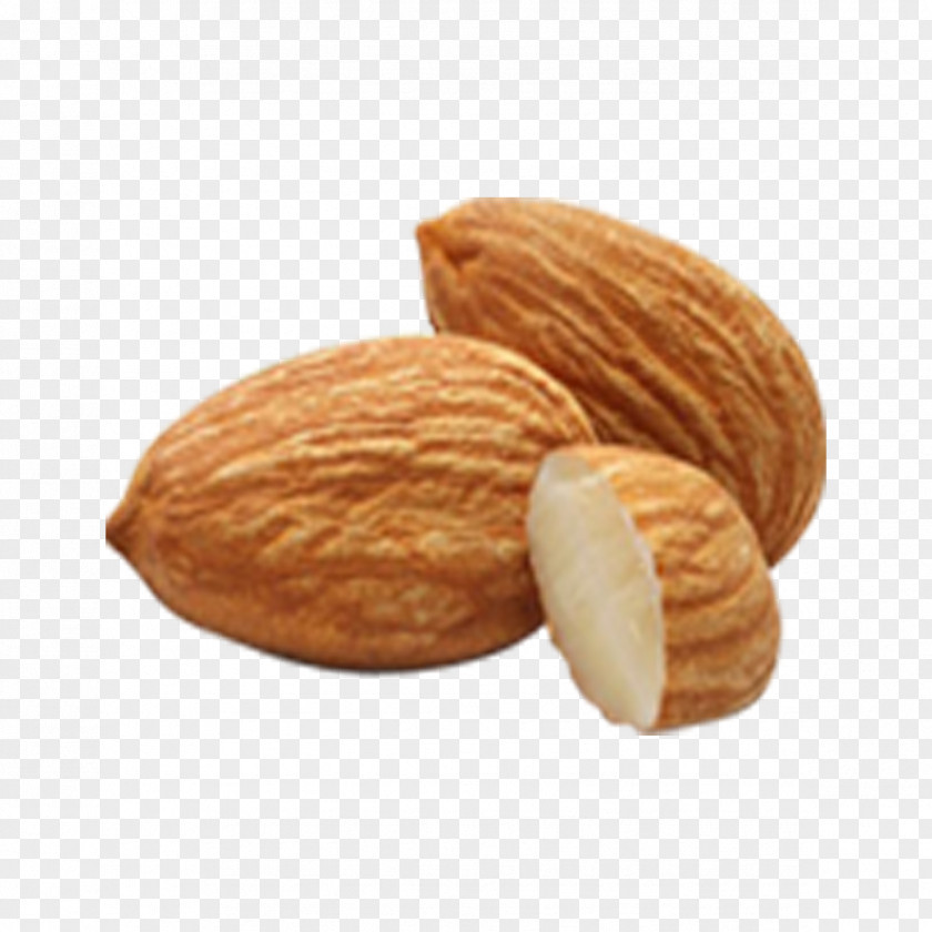 Peeled Almonds Almond Amygdalin Nut Apricot Kernel Seed PNG