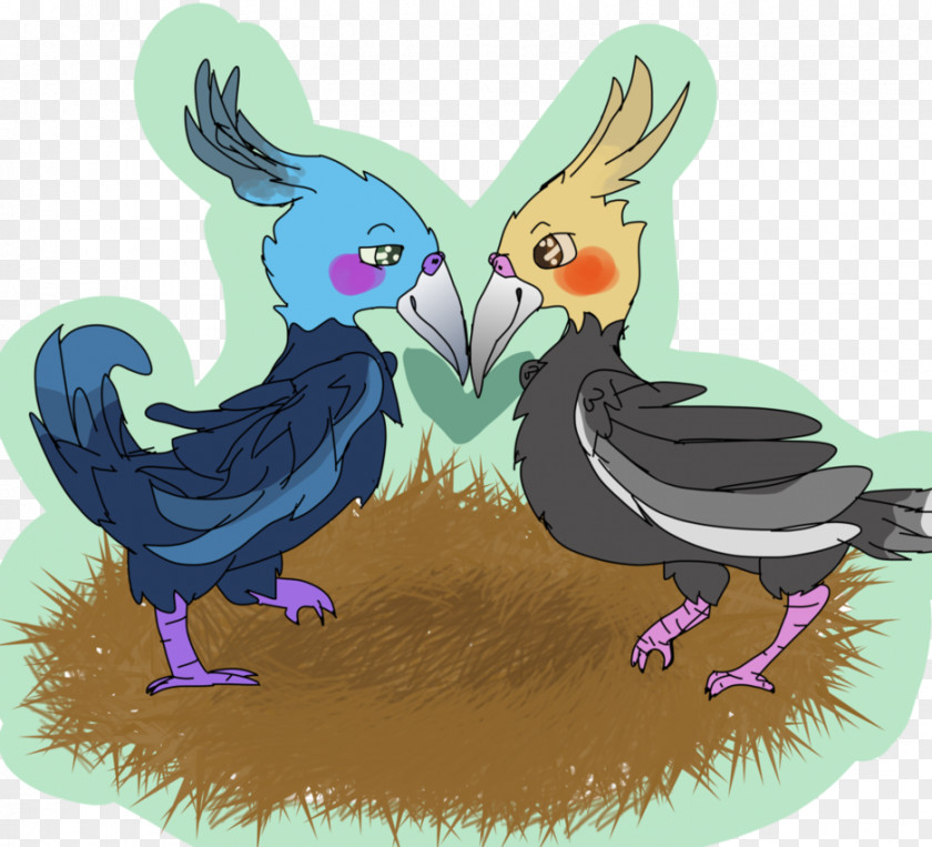 Pet Bird Rooster Fauna Cartoon Beak PNG