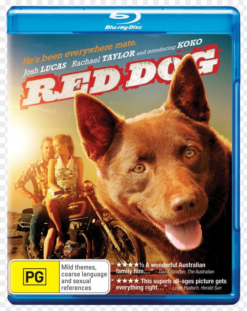 Popcorn Australian Kelpie Red Dog Koko Comedy-drama PNG