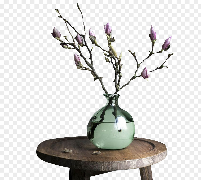 Retro Vase Branch Flower Blossom Jug PNG