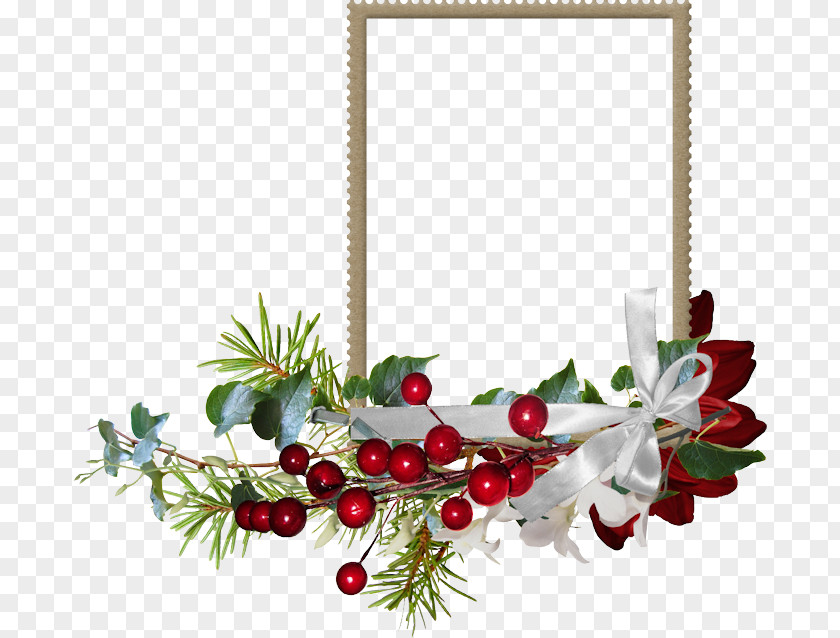 Rosw Picture Frames Christmas Day Image Photography Blog PNG