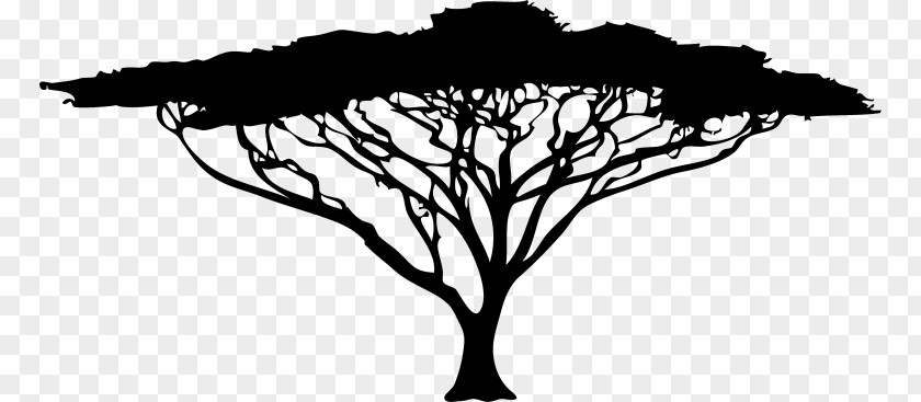 Tree African Trees Silhouette Acacia Clip Art PNG