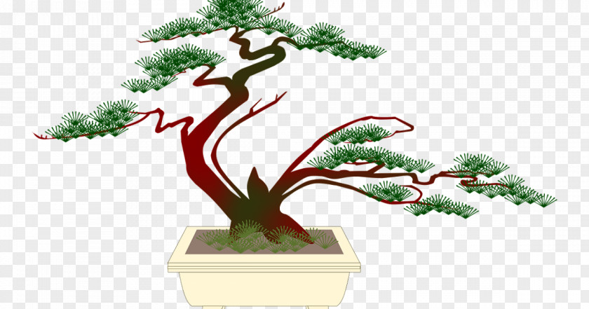 Tree Popular Bonsai Clip Art Image PNG